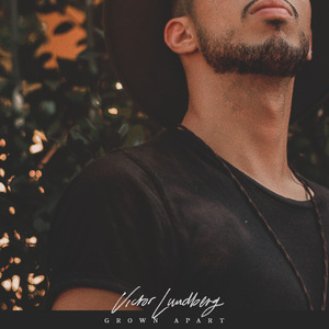 给欧美片一个光
