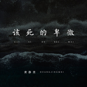 给欧美片一个光
